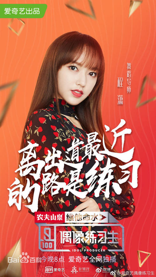 定式公证书概念